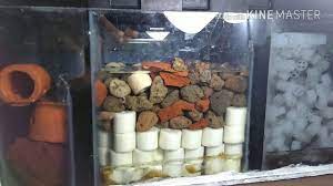 Cara melunakkan air di akuarium. Tips Menjernihkan Air Aquarium Gabungkan 3 System Filter Youtube