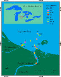 study site and sampling locations in the saginaw river and