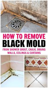 We did not find results for: How To Get Rid Of Black Mold Anywhere In Your Shower