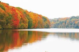 With four miles of hiking trails that lead to scenic overlooks, it is not to be missed. Find Your Fall Bright Leaves Colorful Hikes Abound In Eastern Iowa The Gazette