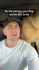 Brett Le Pregunta A Un Perro