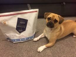 Its been a big hit with my stampin friends lately. Tails Com Dog Food Review
