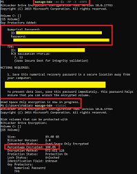You will still need to unlock the bitlocker container. Troubleshooting Bitlocker On Server 2019 Core Teal Technology Consulting Gmbh