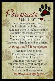 Makes a heartfelt gift for family or friends especially if you don't have a photo of the. Daisy Mae Miss You Pet Loss Grief Pawprints Left By You Sympathy Quotes