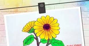 Menggambar bunga matahari cara menggambar dan mewarnai bunga. Cara Mewarnai Gambar Bunga Matahari