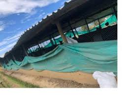 BUENAS PRÁCTICAS AMBIENTALES Y PRODUCCIÓN SOSTENIBLE ACTIVIDADES AÑO 2020 A  los pequeños productores se les brindo asesoría