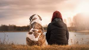 What are the most common reasons for death? How To Adopt A Dog In Oregon Rescues Fees And More