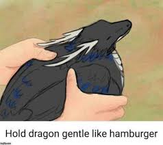 Hamburger Irl Mythical Creatures Art Dragon Memes Cute Dragons