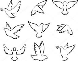 vector ilustracion de la coleccion de logo de aves paloma de paz concepto y diseno de bodas birds logo dove bird doves