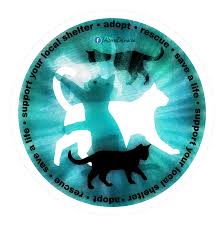 Support Your Local Animal Shelter The Shelter Pet Project Animal Shelter Cat Collage