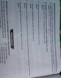 Check spelling or type a new query. Sebutkan Tiga Contoh Keragaman Di Lingkungan Sekolah Brainly Co Id