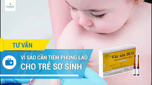 Jun 19, 2021 · cần trên 2,3 triệu liều vắc xin cho các nhóm ưu tiên. Vi Sao Cáº§n Tiem Phong Lao Cho Tráº» SÆ¡ Sinh Youtube