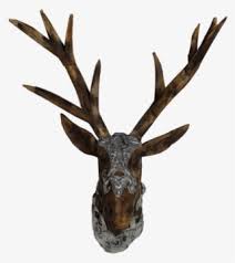 We did not find results for: Deer Head Kepala Rusa Duduk Kepala Rusa Png Png Image Transparent Png Free Download On Seekpng