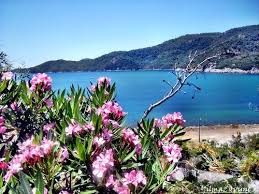 Datca Turkey Amazing Travel Destinations Skyscanner Travel