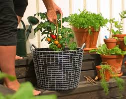 Garten gabione säule säulen steingabionen steinkorb drahtkorb mehrere auswahl. Der Drahtkorb Transportbehalter Fur Alle Falle Bild 5 Schoner Wohnen