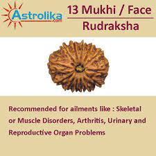 13 Mukhi Rudraksha Rudraksha Mantras Vedic Astrology