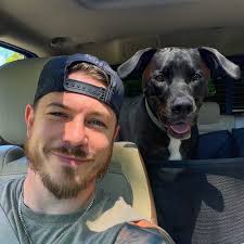 🚨 RE-SIGNED 🚨 2014 WNBA Champion, 9x All-Star, 8x Blocks Leader, 2x  Defensive POY and 3x All-WNBA First Team member, Brittney Griner has  re-signed with the Phoenix Mercury #WNBAFreeAgency