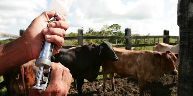 Which Factors Matter Most When Using Vaccines to Combat Zoonoses? | Journal  of Ethics | American Medical Association