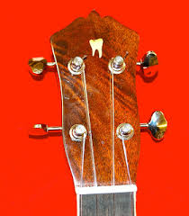 Learn more about fender electric guitars. The Luthier S Apprentice Ej Henderson Guitars And Ukuleles