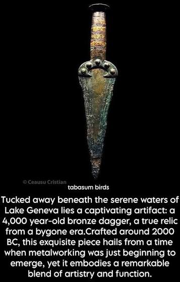 4,000-year-old bronze dagger from 2000 BC discovered in Lake Geneva