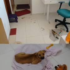 3) ромео монтекки и джульетта капулетти — герои трагедии шекспира, чья историю любви и возвышенна, и драматична. Her Name Is Rio And She Dances In The Sand Album On Imgur