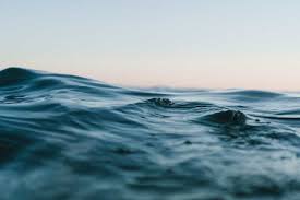 You will never cross the ocean unless you have the courage to lose sight of the shore. Inspirational Ocean Quotes Short Quotes Of Love
