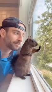 mark rigdon (@markrigdon)