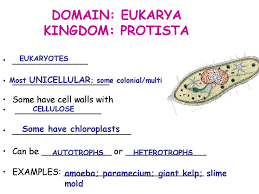Classification Ppt Download