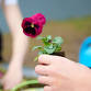 GARDENING CLUB event image