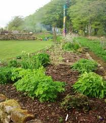 To increase clay soil drainage, one must prevent compaction of the soil. Waterlogged And Wet Soil