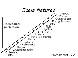 Modern Evolution philosophy rooted in Ancient Paganism