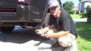 2017 toyota tacoma sr5 6 cyl 3.5l 2/4 wheel drive and all wheelbases. Tacoma Exhaust Tip Diy Install Youtube
