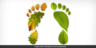 Nose medical pollution breath emissions co2 sustainability template saving natural resources gas environment vector breathing tree replanting recycle graphics smell allergy. Free India From Air Pollution Five Ways To Reduce Carbon Footprint Independence Day Special