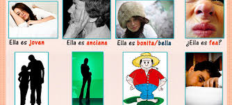 Describir personas en español Archivos - SpanishLearningLab