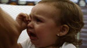 Watch SEED: The Untold Story