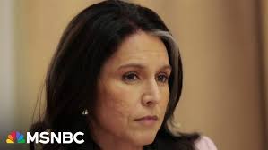 Local celebrities to guest read at SPARK