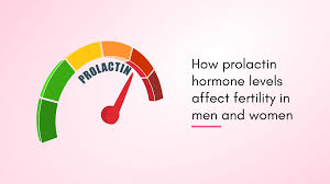 Image result for Prolactin