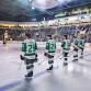 Grand Rapids Griffins vs. Texas Stars