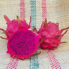 Not to be mistaken with the fighting style dragon breath. Natural Mystic Dragon Fruit Red Flesh Variety From Spicy Exotics
