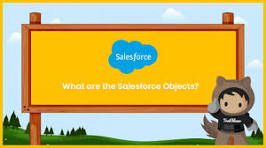 What Are The Salesforce Objects Wahinnovations