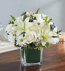 We did not find results for: Healing Tears All White White Flowers In Cube Vase In Edmond Ok All About Flower Power