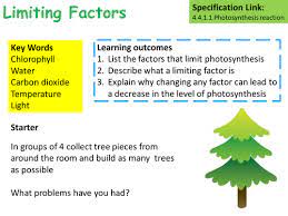 Ks4 Aqa Biology Science Limiting Factors Of Photosynthesis Lesson Teaching Resources Photosynthesis Lessons Photosynthesis Interactive Science Notebook