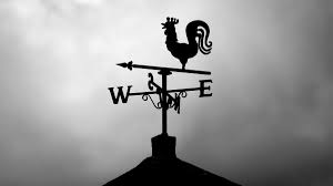 Laying out your garden in such a way as to use them as sun shields make sense. How To Protect Your Vegetable Garden From The Wind Allotment Gardens