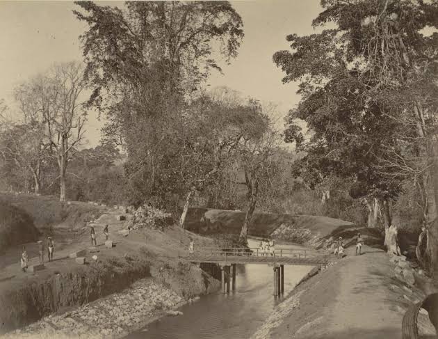 UNBINDING: A walkthrough of 4 Colonial Photographic archives on Kerala