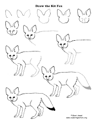 Draw An American Desert 35 cute & easy animal drawing ideas. draw an american desert