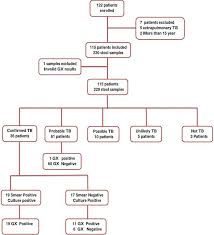 follow chart of study showing number and classification of