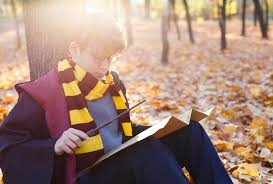 Harry potter changed the world over 20 years ago when the first book hit shelves, so it's no surprise that this bonafide phenomenon continues to influence magic how do you pick the right harry potter name for your dog? The A Z Of Harry Potter Dog Names For Doggie Wizards Muggles My Pet S Name