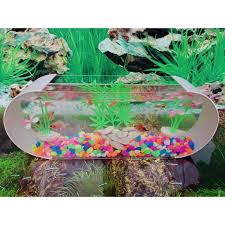 Jual aquarium tabung mini unik mika. Harga Aquarium Kecil Terbaik Hobi Koleksi Agustus 2021 Shopee Indonesia