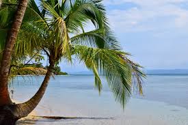 A shuttle cost at minimum $25 and as busses in panama on this route go quite frequently (every 15min and every 30min), in sixoala every hour, you are also almost as fast as a shuttle. Our Conflicted Feelings About Bocas Del Toro Our Escape Clause