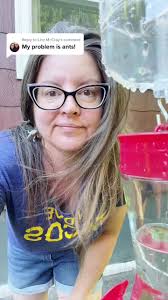 Replying to @Linz McCray Ant moat!! Keeps the pesky ants out of my  hummingbird feeder! #feedthebirds #ReTokforNature #ants